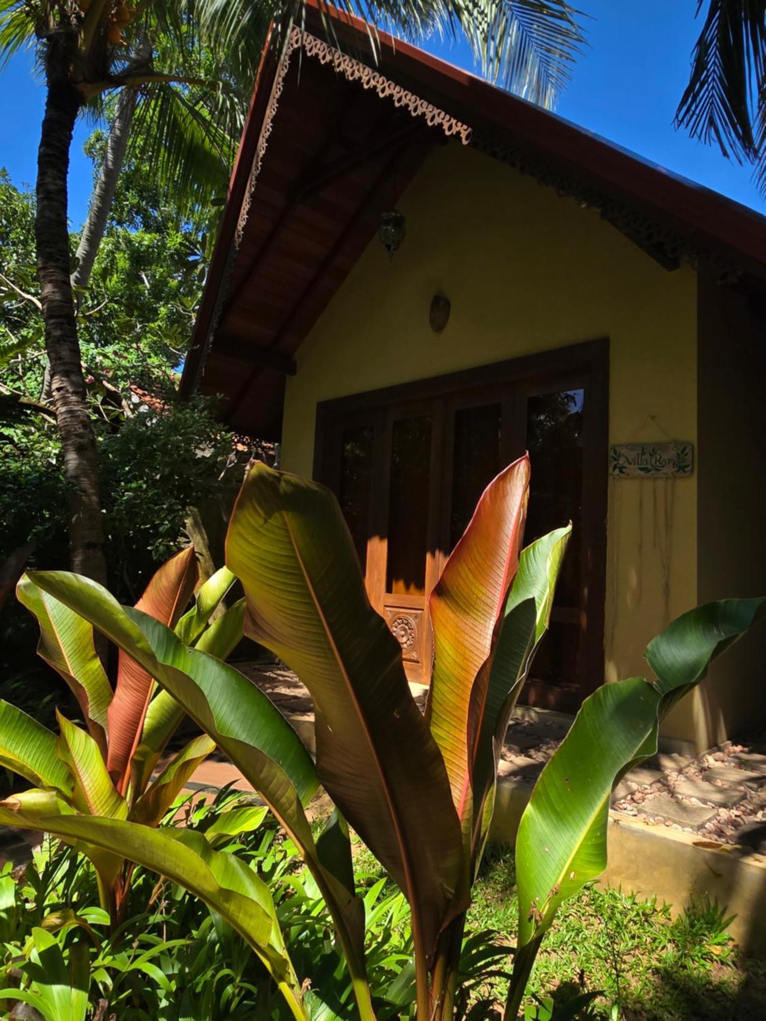 Surf N Sun - Arugam Bay Hotel Eksteriør billede